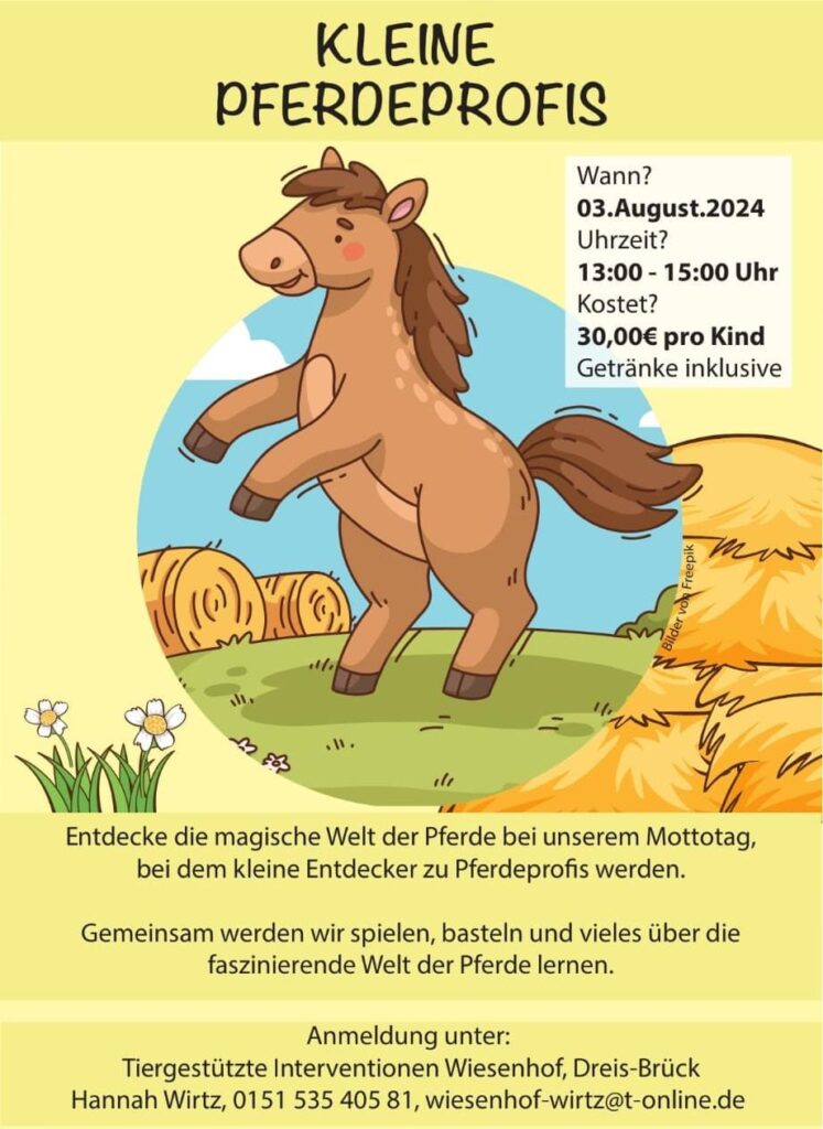 Kleine Pferdeprofis - 03. August 2024